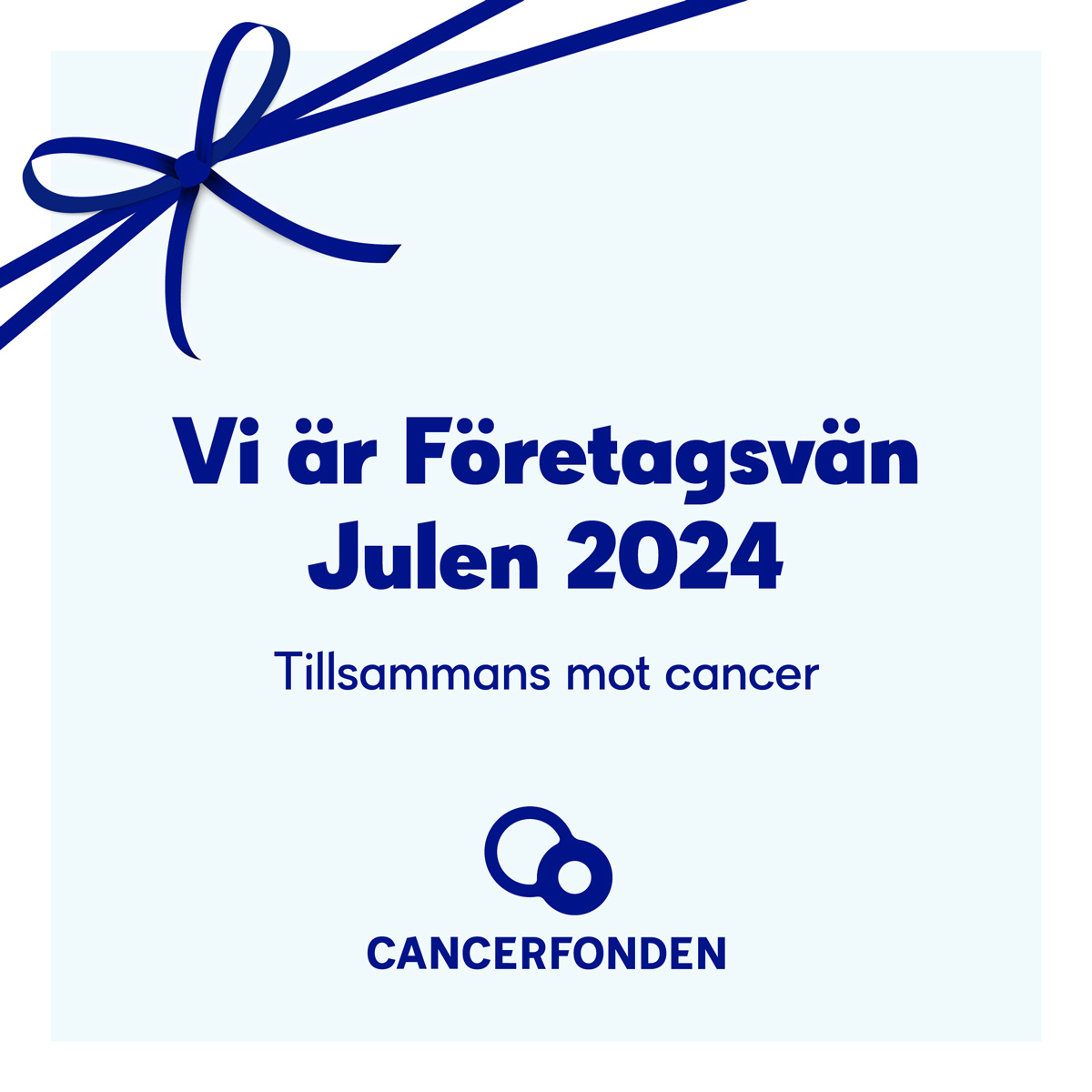 Läs mer om artikeln Vi stöttar cancerfonden i deras kamp att bekämpa cancern genom att medverka som företagsvän julen 2024